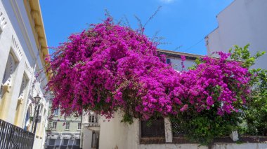 Cebelitarık Avrupa'nın güneyinde güzel bir yerdir