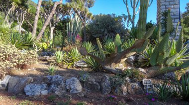 Cebelitarık Avrupa'nın güneyinde güzel bir yerdir