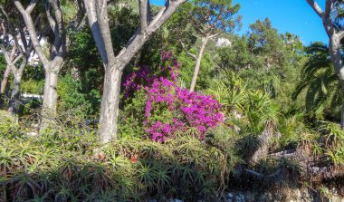 Cebelitarık Avrupa'nın güneyinde güzel bir yerdir