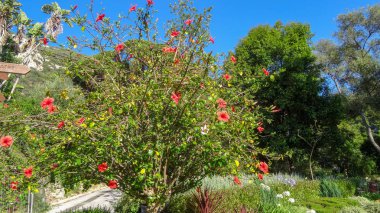 Cebelitarık Avrupa'nın güneyinde güzel bir yerdir