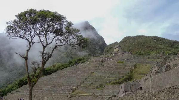 Machu picchu in peru ist eines der Wunder der Welt — Stockfoto