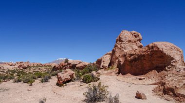 Bolivya'da çok alışılmadık doğası ile Yayla Altiplano