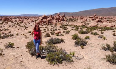 Bolivya'da çok alışılmadık doğası ile Yayla Altiplano