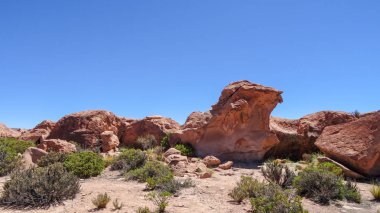 Bolivya'da çok alışılmadık doğası ile Yayla Altiplano