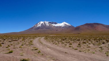 Bolivya'da çok alışılmadık doğası ile Yayla Altiplano