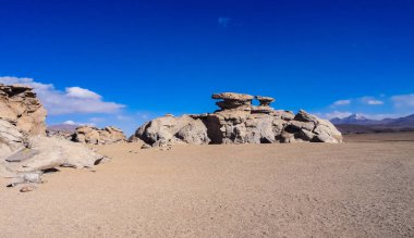 Bolivya'da çok alışılmadık doğası ile Yayla Altiplano