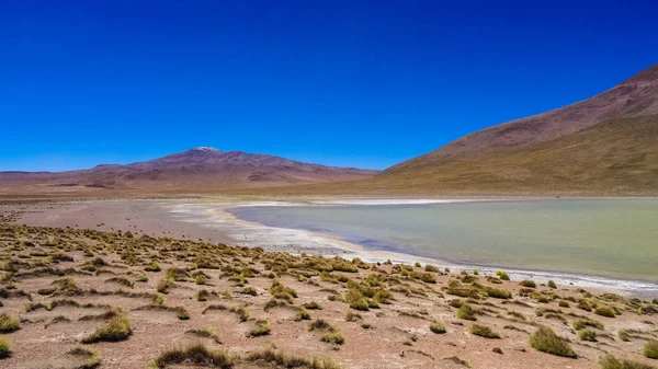 Plošina Altiplano s velmi netypickou povahou v Bolívii — Stock fotografie