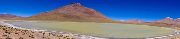 Plateau Altiplano with very untypical nature in Bolivia — Stock Photo, Image