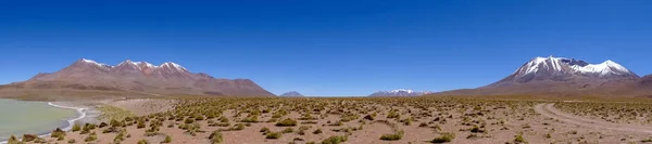 Plateau Altiplano with very untypical nature in Bolivia — Stock Photo, Image