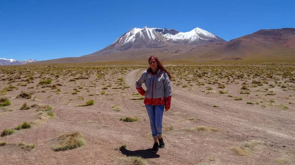 Plateau Altiplano with very untypical nature in Bolivia — Stock Photo, Image