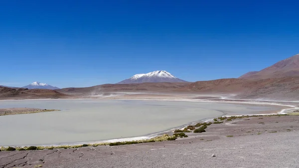 Płaskowyż Altiplano o bardzo nietypowym charakterze w Boliwii — Zdjęcie stockowe