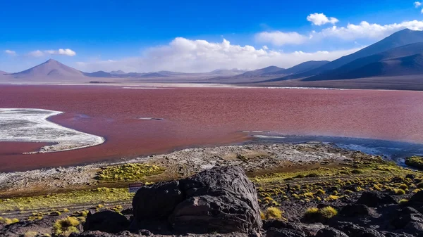 Plateau Altiplano with very untypical nature in Bolivia — Stock Photo, Image