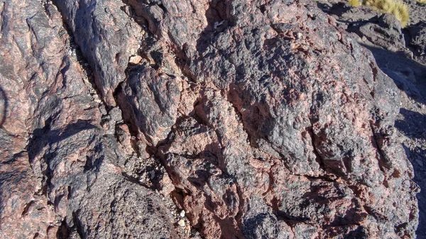 Hochebene Altiplano mit sehr untypischer Natur in Bolivien — Stockfoto