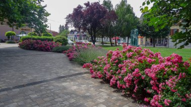 Balatonboglar, Balaton Gölü kıyısında küçük bir tatil köyü.