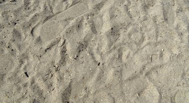 Gardony Velence Gölü kıyısında küçük bir tatil köyü.