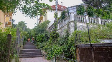 Heviz Gölü, Macaristan 'ın batısında inanılmaz bir tatil beldesi.