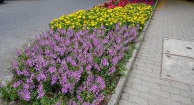Heviz Gölü, Macaristan 'ın batısında inanılmaz bir tatil beldesi.