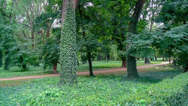 Keszthely ist ein kleiner Ferienort am Ufer des Balatons — Stockfoto