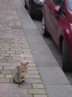 Catania İtalya 'nın Sicilya adasında güzel bir şehirdir.