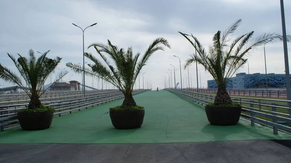 Sochi é uma bela cidade no mar Negro — Fotografia de Stock