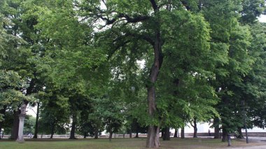 Bratislava Slovakya 'nın başkentidir.