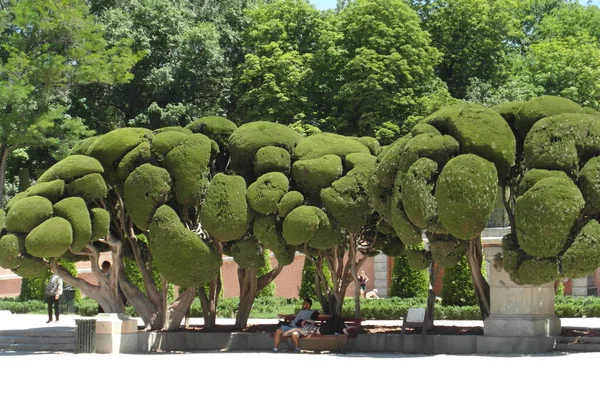 Hermoso Madrid - capital de España — Foto de Stock