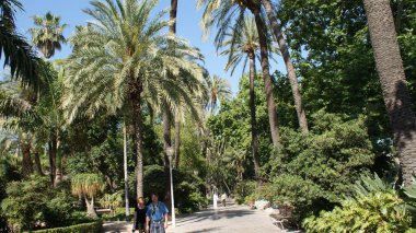 Malaga İspanya 'nın eski ve güzel bir şehridir.