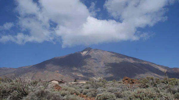 Îles Canaries Ténérife Appartient Espagne Mais Une Nature Complètement Différente — Photo