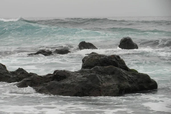 Kanarya Adaları Tenerife Spanya Ait Ama Tamamen Farklı Bir Doğası — Stok fotoğraf