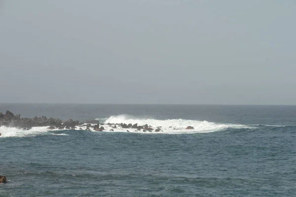 Isole Canarie Tenerife Appartiene Alla Spagna Una Natura Completamente Diversa — Foto Stock