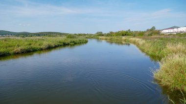 Urallar 'daki güzel Miass nehri. Rusya 'nın harika yaz ve sonbahar doğası. Kalmak için harika bir yer..