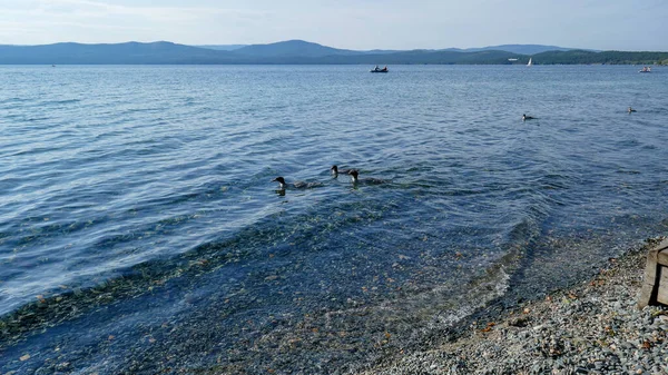 Turgoyak Adalah Sebuah Danau Yang Sangat Indah Ural Selatan Dekat — Stok Foto