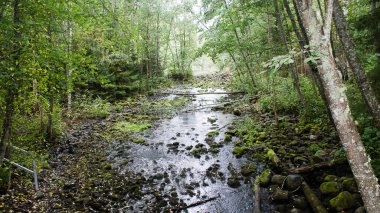 Kivac, Rusya Federasyonu 'nun Karelia eyaletinde yer alan bir rezerv ve şelaledir. Kalacak çok güzel bir yer.