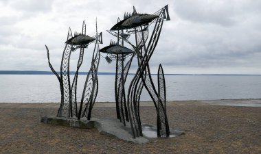 Petrozavodsk - Karelia 'nın başkenti, Rusya