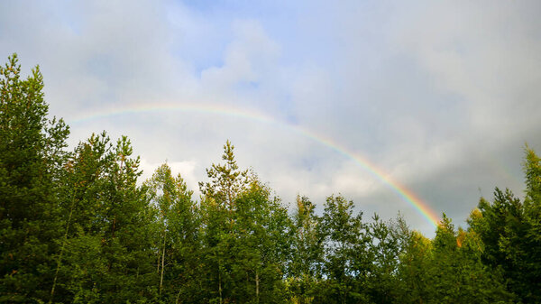 Республика Карелия в России - удивительно красивое место, где многие туристы наслаждаются природой