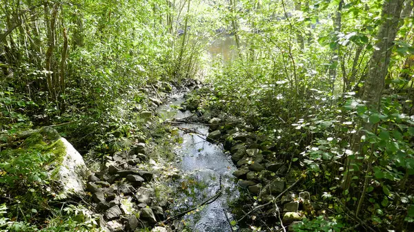 Carélia Uma República Muito Bonita Norte Rússia Girvas National Park — Fotografia de Stock