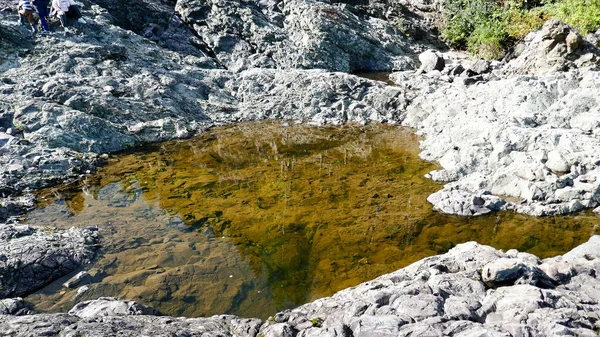 Carélie Est Une Très Belle République Nord Russie Parc National — Photo