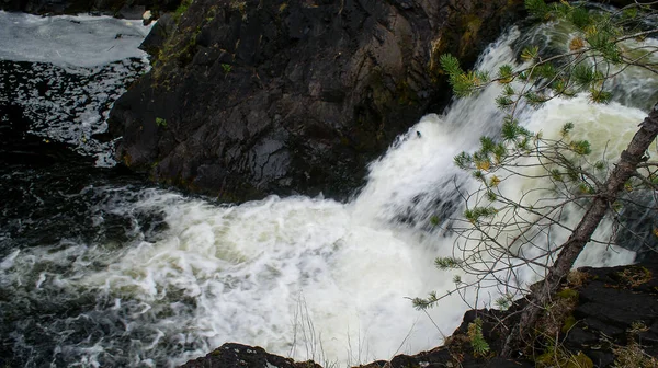 Kivac Una Reserva Cascada República Karelia Federación Rusa Lugar Muy — Foto de Stock