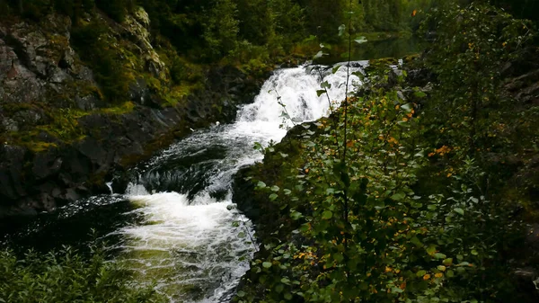 Kivac Jest Rezerwatem Wodospadem Republice Karelii Federacji Rosyjskiej Bardzo Piękne — Zdjęcie stockowe
