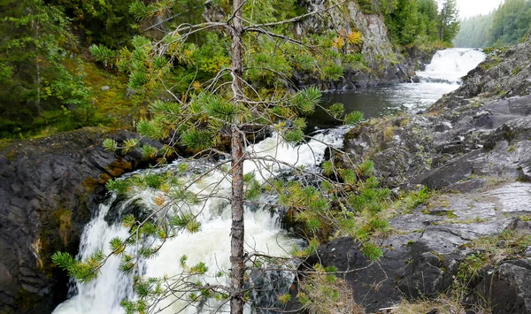 Kivac Una Reserva Cascada República Karelia Federación Rusa Lugar Muy — Foto de Stock