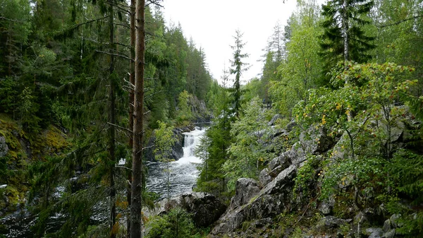 Kivac Una Reserva Cascada República Karelia Federación Rusa Lugar Muy — Foto de Stock