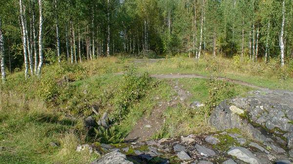 World War Bunker Landscapes Buildings Karelia North Russia — Stock fotografie