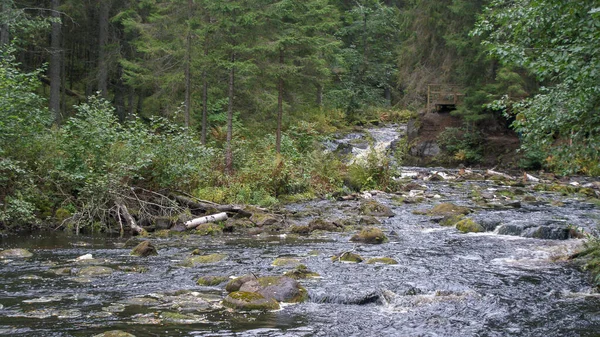 Naturparken Norra Ryssland Vattenfall Vacker Natur Och Riktig Rysk Skog — Stockfoto