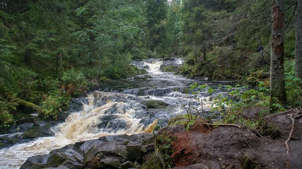 Přírodní Park Severu Ruska Vodopády Nádherná Příroda Skutečný Ruský Les — Stock fotografie