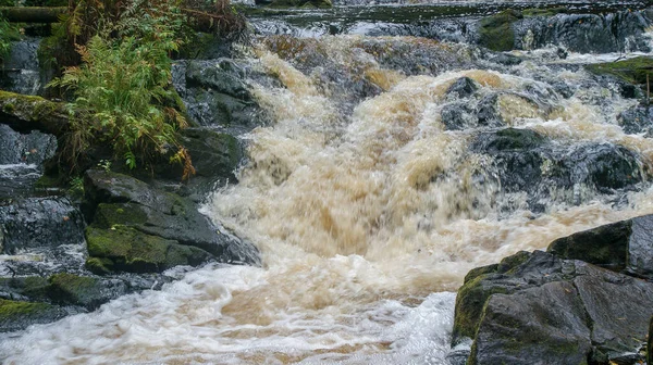 Природний Парк Півночі Росії Водоспади Прекрасна Природа Справжній Російський Ліс — стокове фото