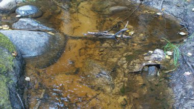 Rusya 'nın kuzeyindeki Doğal Park. Şelaleler, muhteşem doğa ve gerçek bir Rus ormanı. Karelya Cumhuriyeti