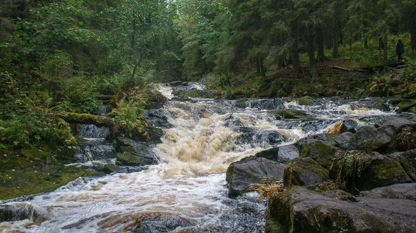 Parque Natural Norte Rússia Cachoeiras Natureza Deslumbrante Uma Verdadeira Floresta — Fotografia de Stock