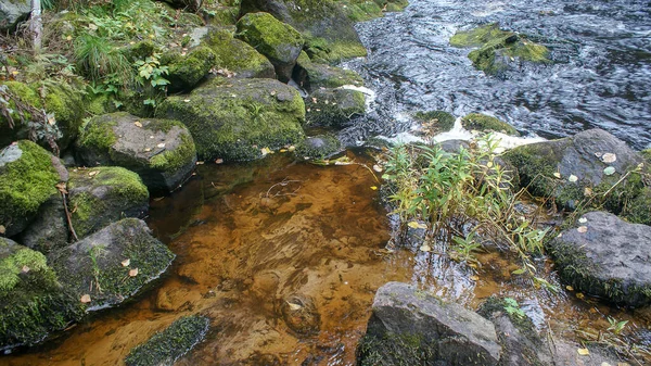 Park Naturalny Północy Rosji Wodospady Piękna Przyroda Prawdziwy Rosyjski Las — Zdjęcie stockowe