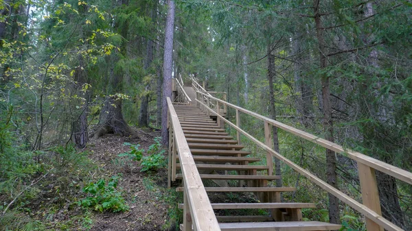 Parque Natural Norte Rússia Cachoeiras Natureza Deslumbrante Uma Verdadeira Floresta — Fotografia de Stock