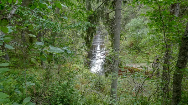 Природний Парк Півночі Росії Водоспади Прекрасна Природа Справжній Російський Ліс — стокове фото